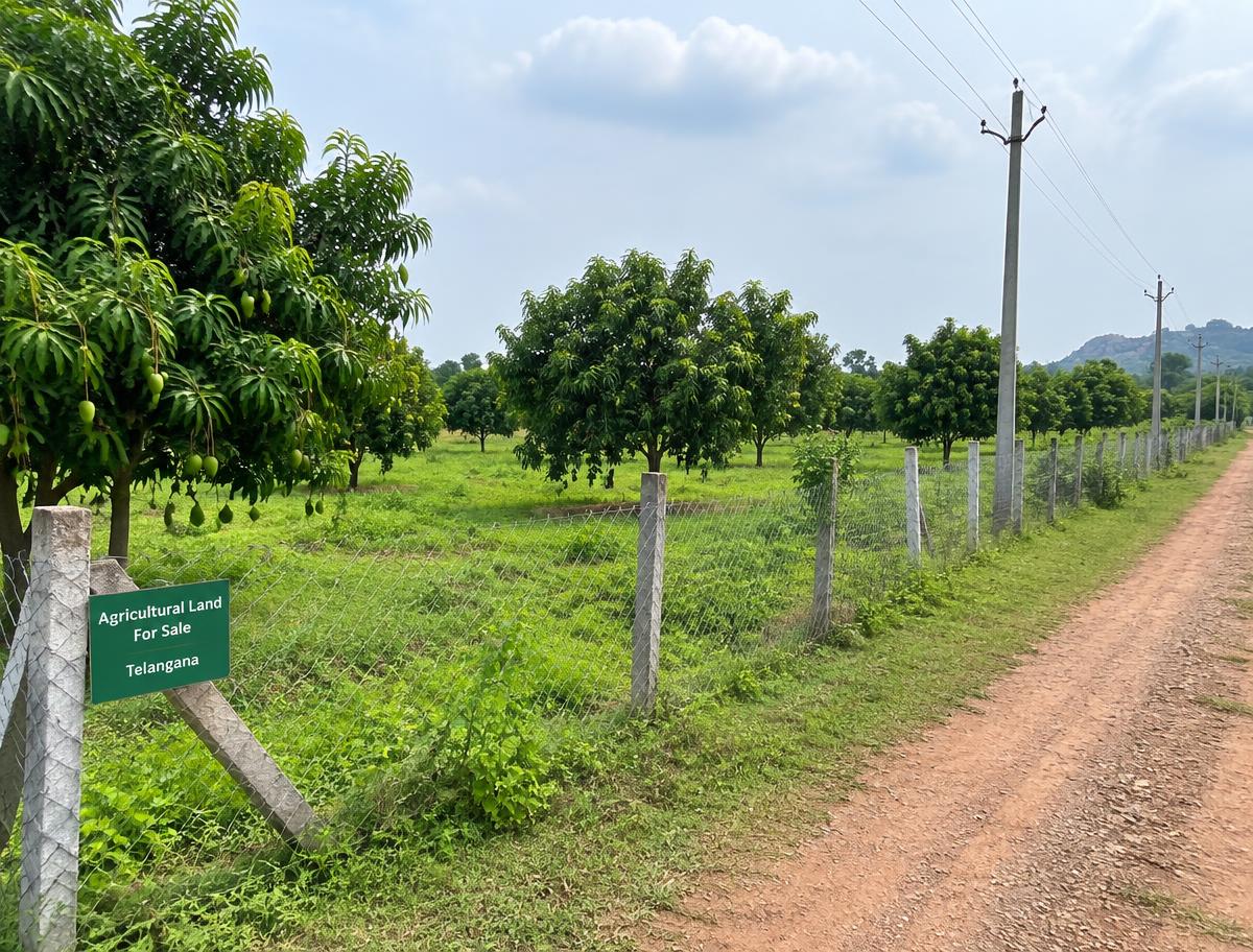 Farm Lands